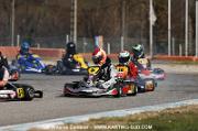 DSC_0295 (3)